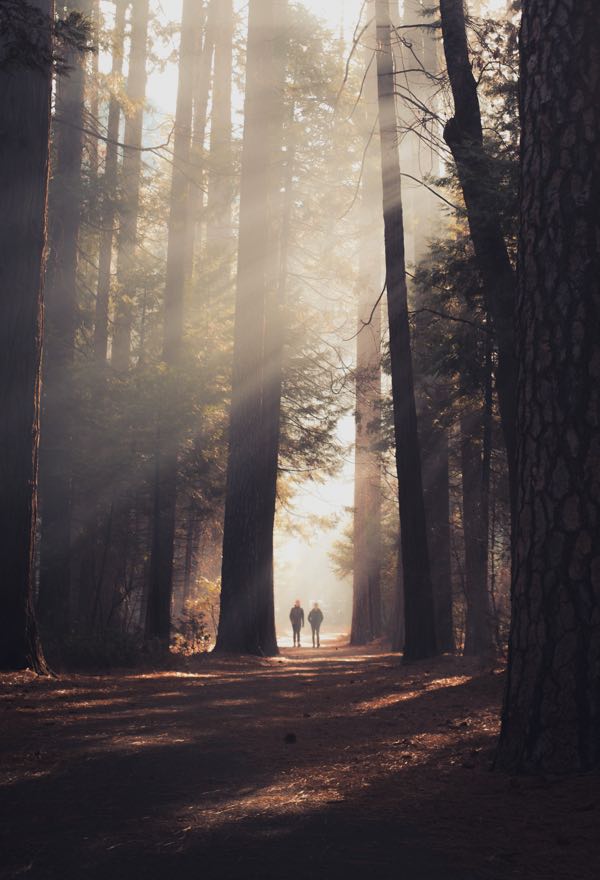 casey-horner-D4TooCIEyF4-unsplash Odio Utsem Nulla Pharetra Diam Sitametnisl Elementum