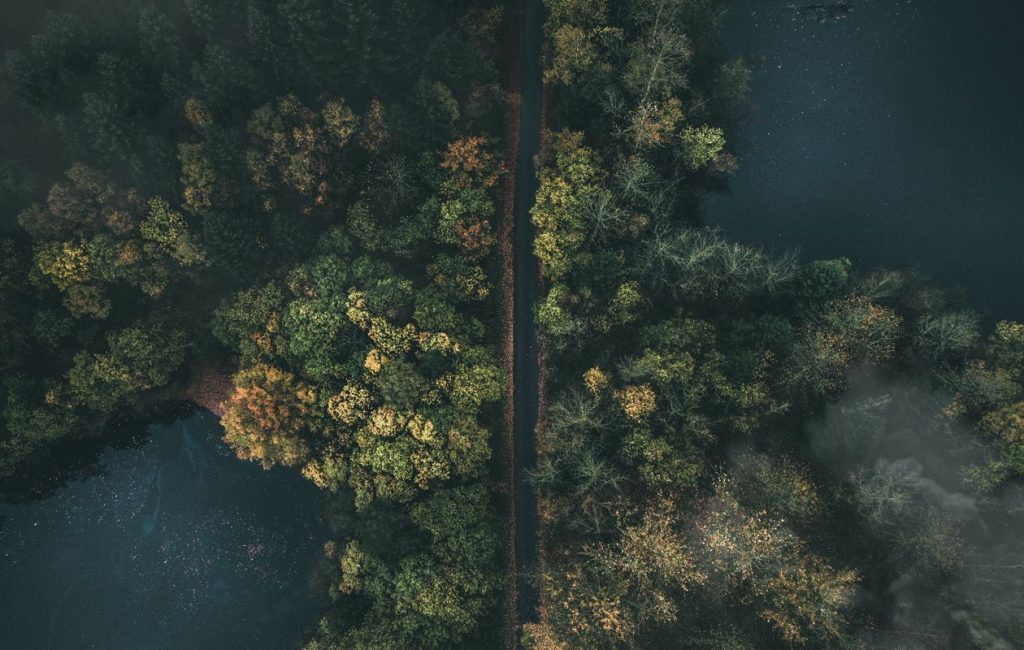 jan-henrik-franz-1063148-unsplash-1024x650 Odio Utsem Nulla Pharetra Diam Sitametnisl Elementum