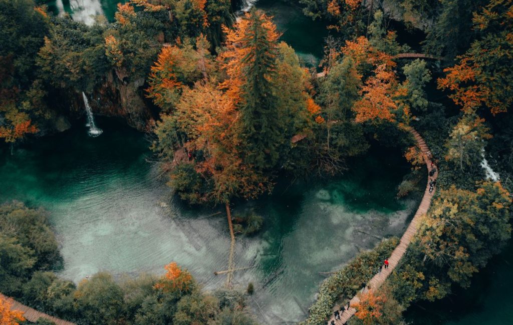 peter-jan-rijpkema-wI6o8OwUwdw-unsplash-1024x650 Odio Utsem Nulla Pharetra Diam Sitametnisl Elementum